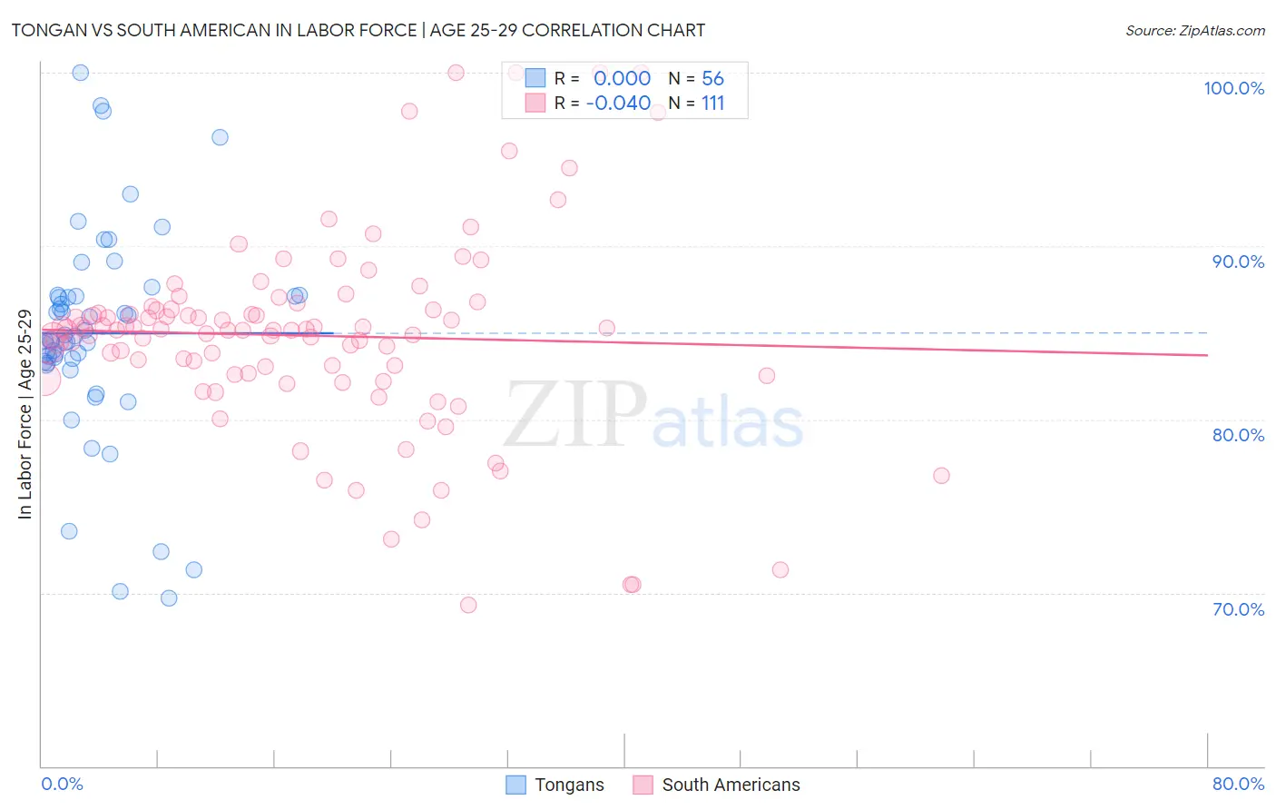 Tongan vs South American In Labor Force | Age 25-29