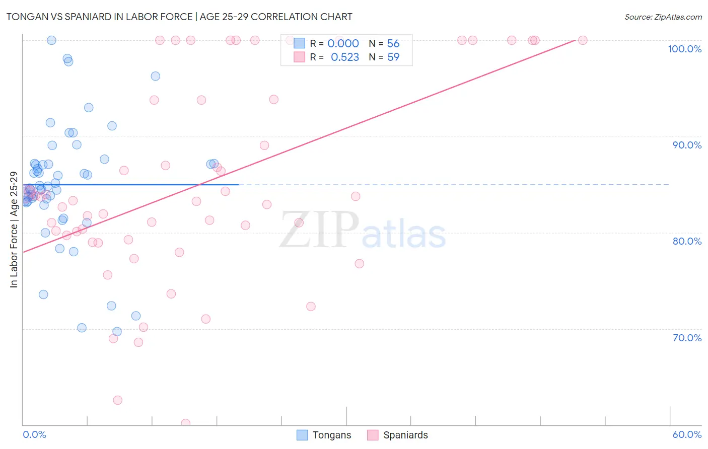 Tongan vs Spaniard In Labor Force | Age 25-29