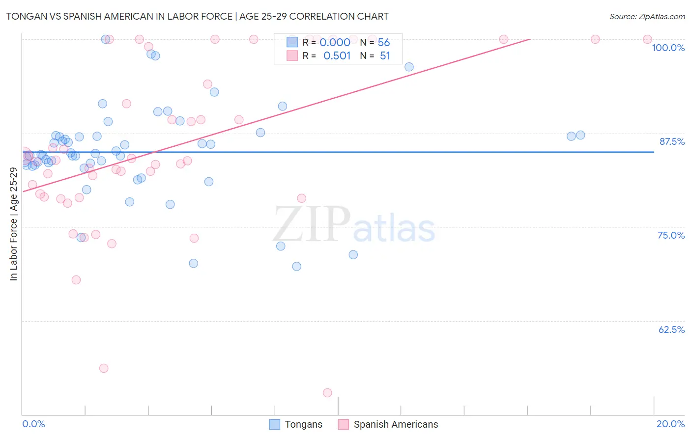 Tongan vs Spanish American In Labor Force | Age 25-29