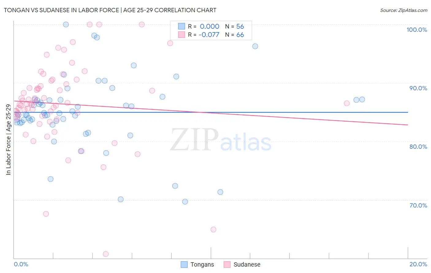 Tongan vs Sudanese In Labor Force | Age 25-29