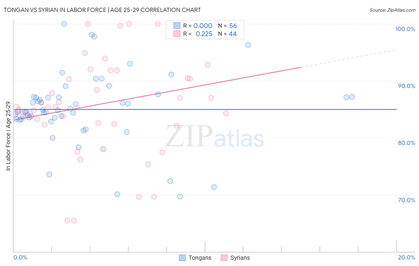 Tongan vs Syrian In Labor Force | Age 25-29