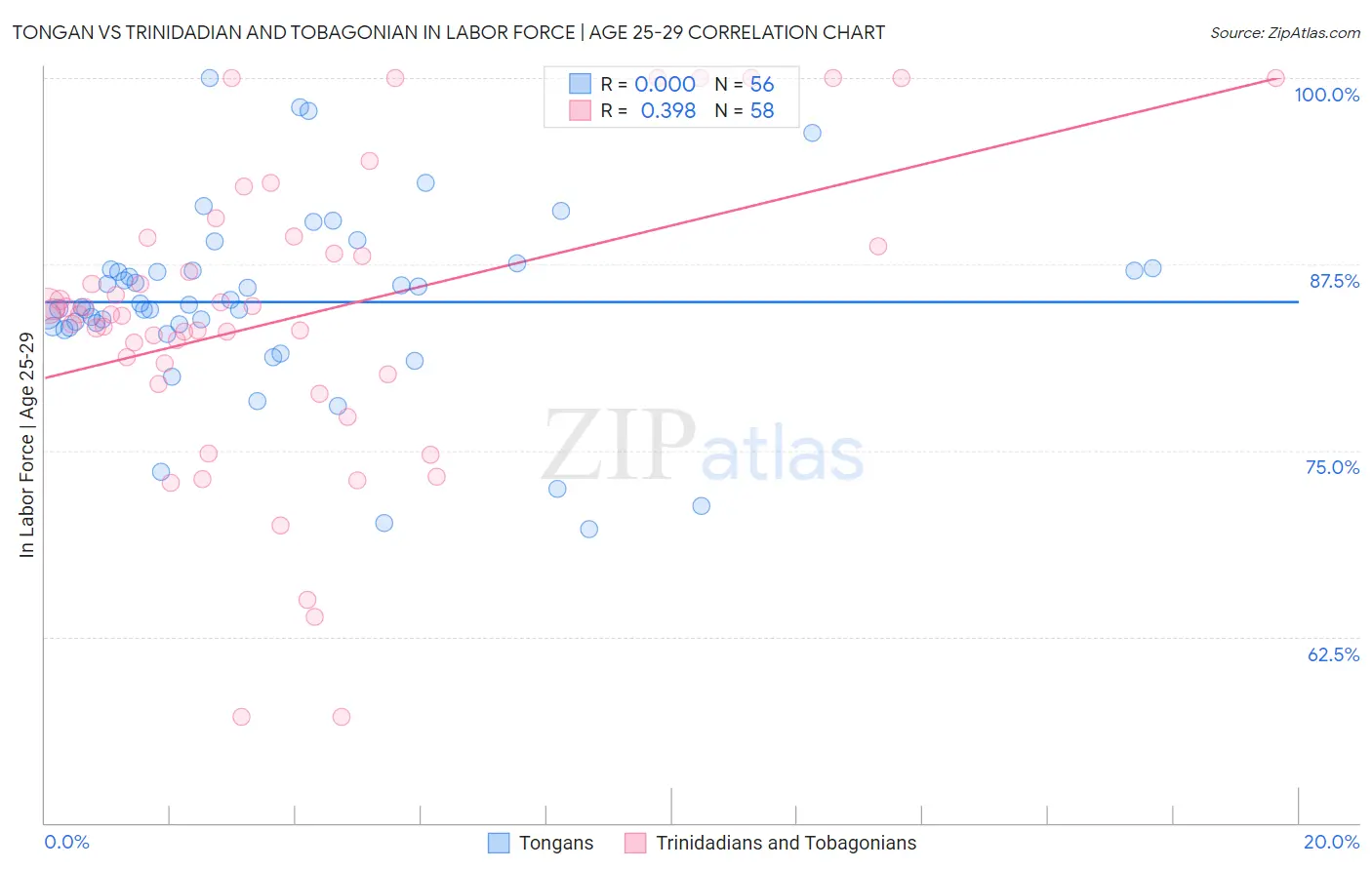 Tongan vs Trinidadian and Tobagonian In Labor Force | Age 25-29