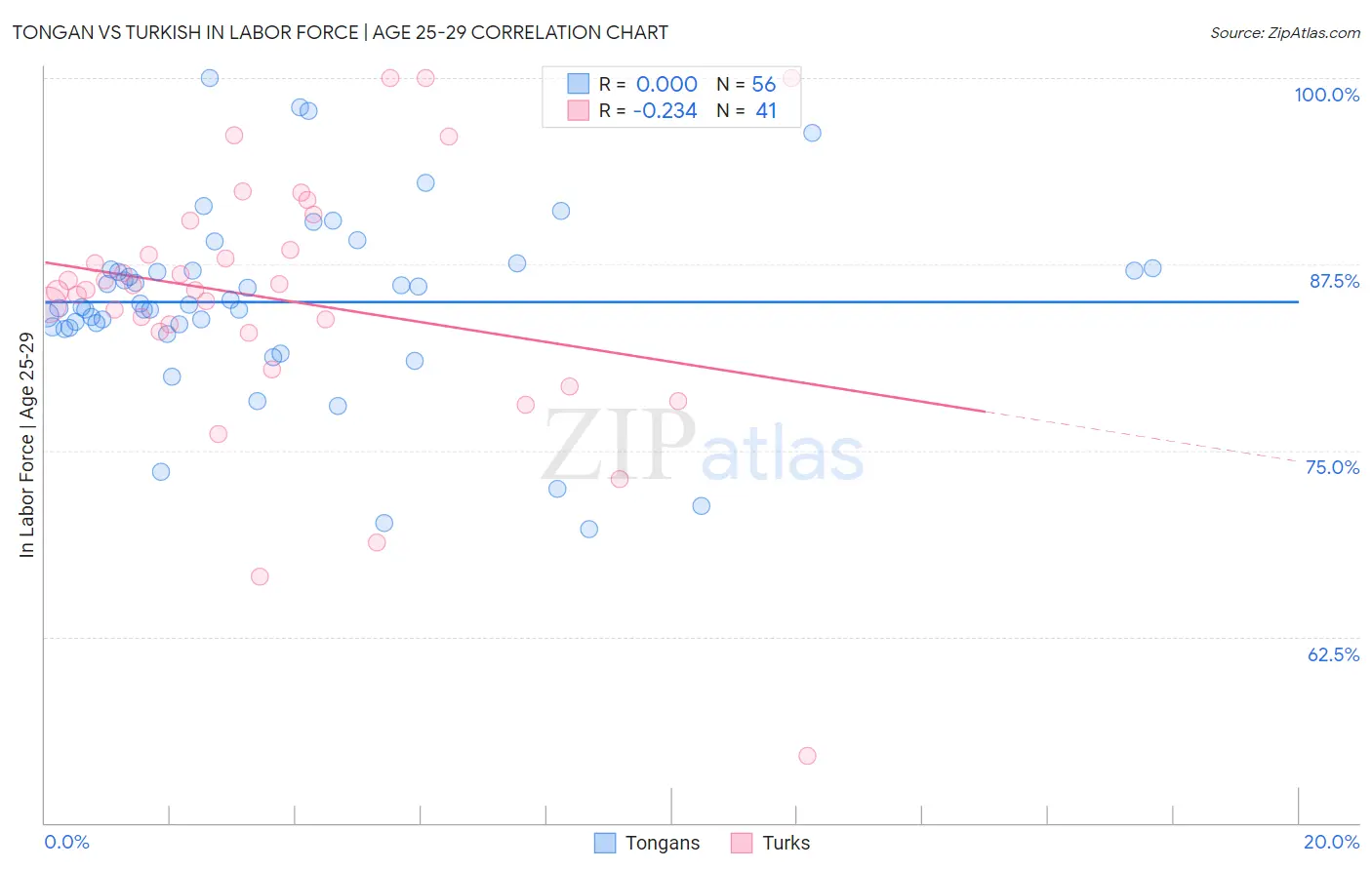 Tongan vs Turkish In Labor Force | Age 25-29