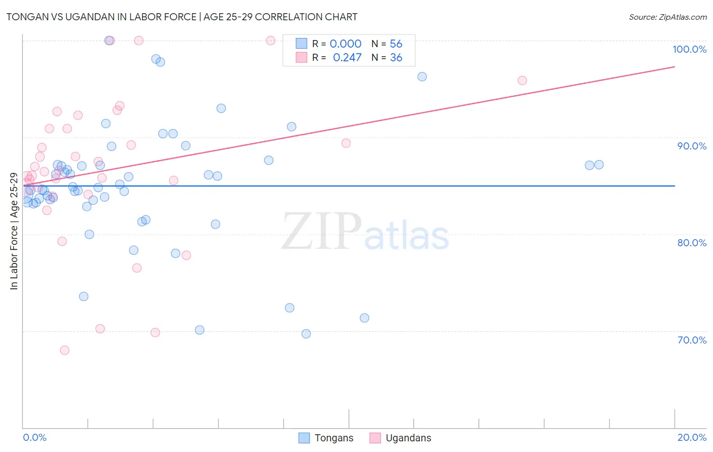 Tongan vs Ugandan In Labor Force | Age 25-29