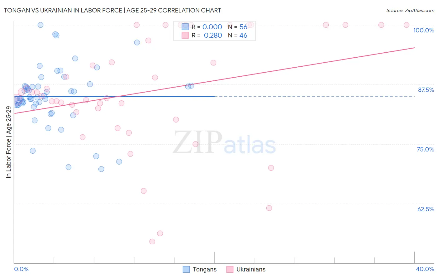 Tongan vs Ukrainian In Labor Force | Age 25-29