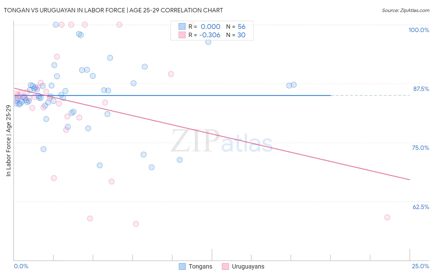 Tongan vs Uruguayan In Labor Force | Age 25-29