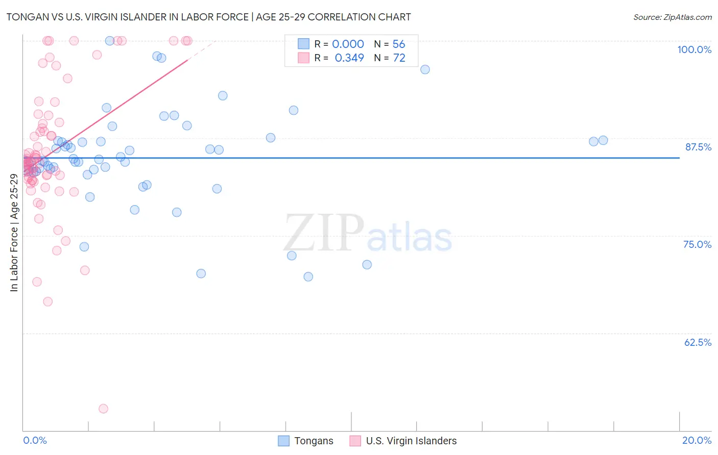 Tongan vs U.S. Virgin Islander In Labor Force | Age 25-29