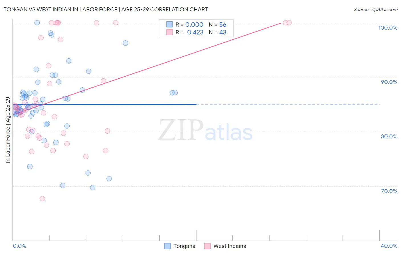 Tongan vs West Indian In Labor Force | Age 25-29