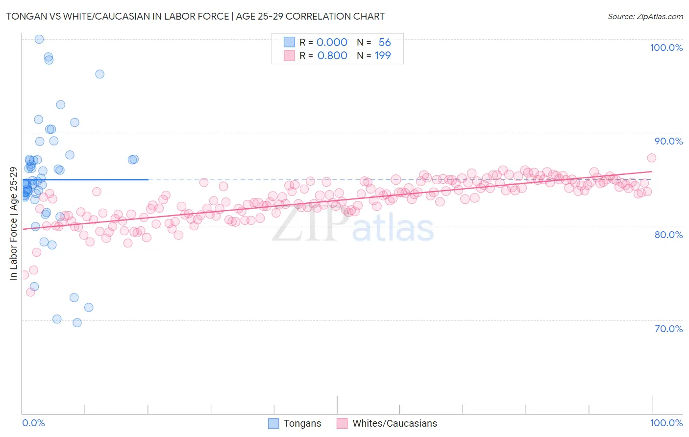 Tongan vs White/Caucasian In Labor Force | Age 25-29