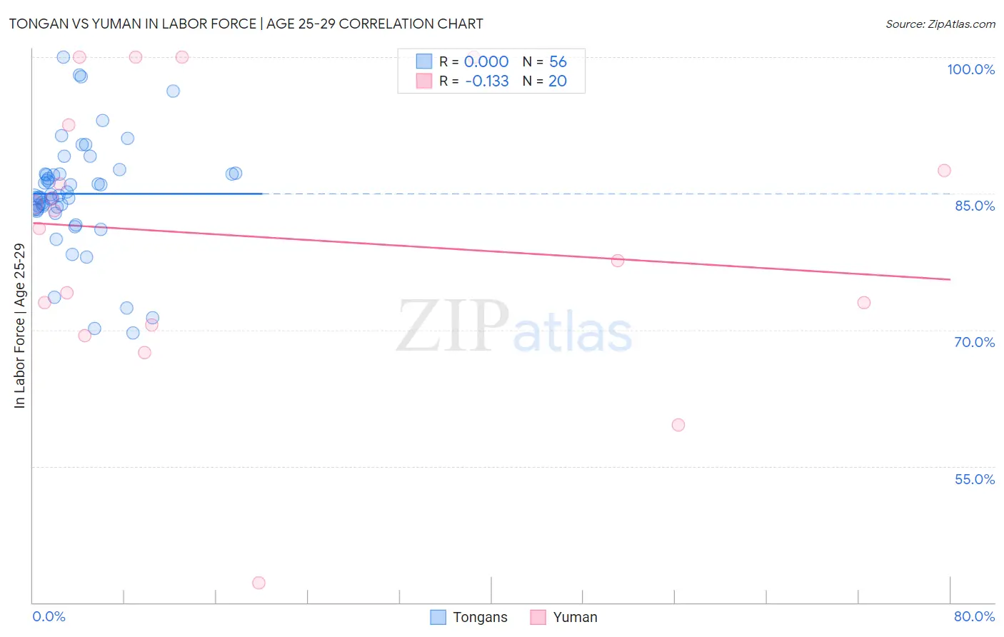 Tongan vs Yuman In Labor Force | Age 25-29