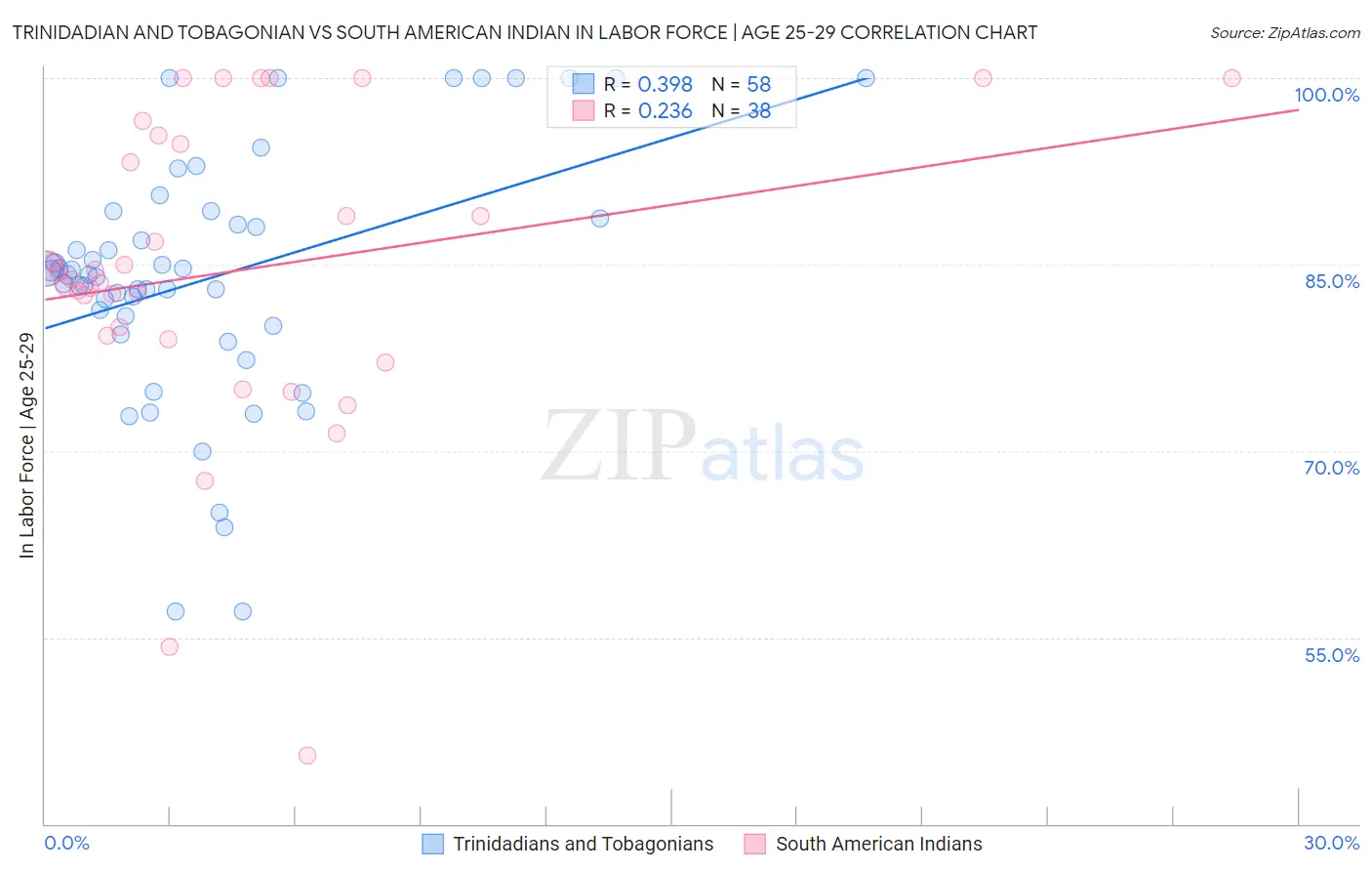 Trinidadian and Tobagonian vs South American Indian In Labor Force | Age 25-29