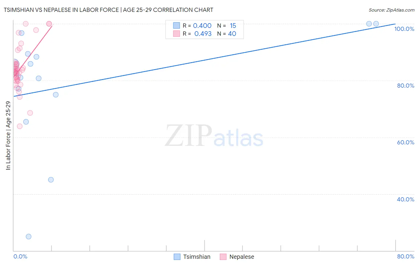 Tsimshian vs Nepalese In Labor Force | Age 25-29