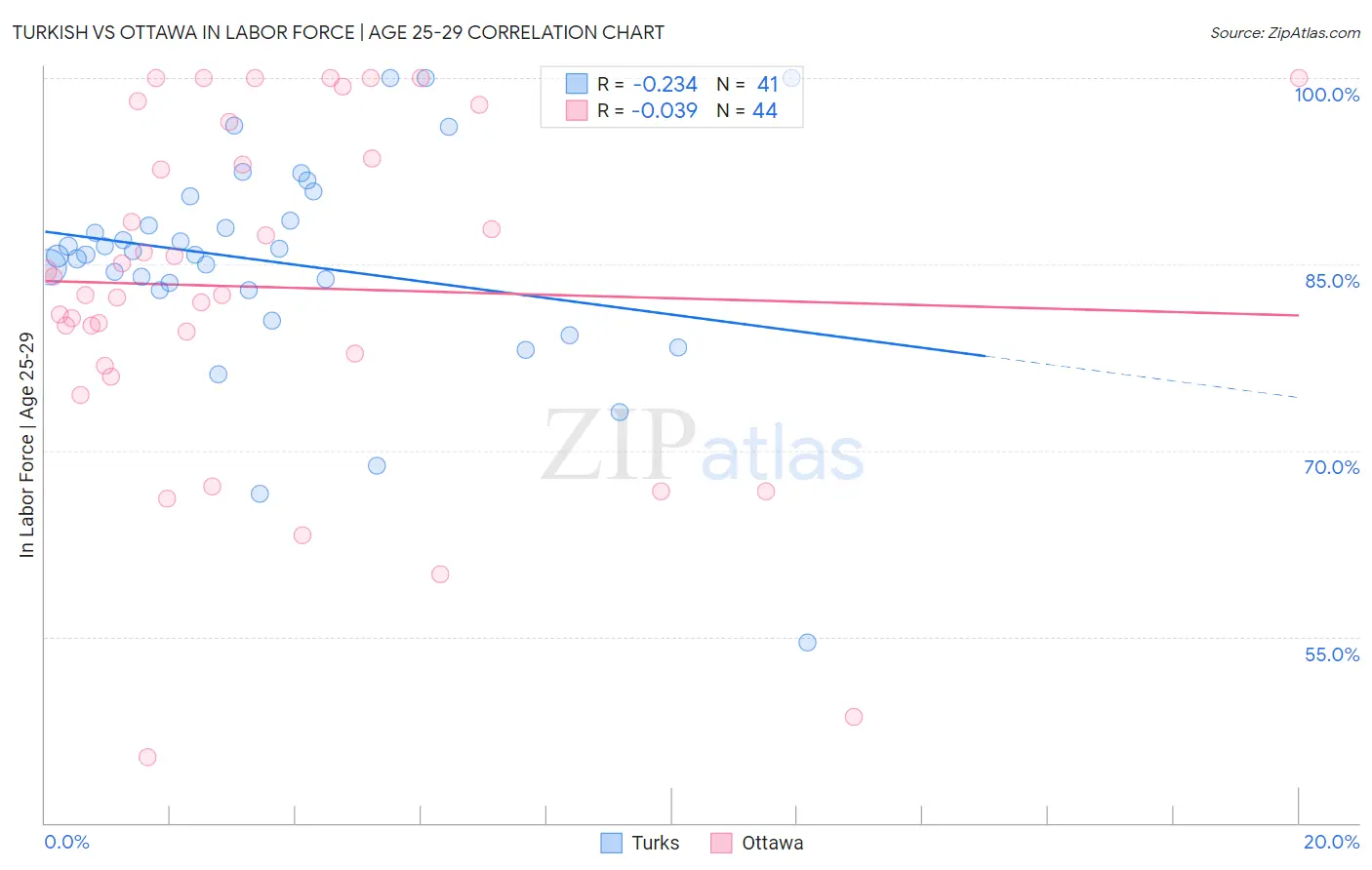 Turkish vs Ottawa In Labor Force | Age 25-29