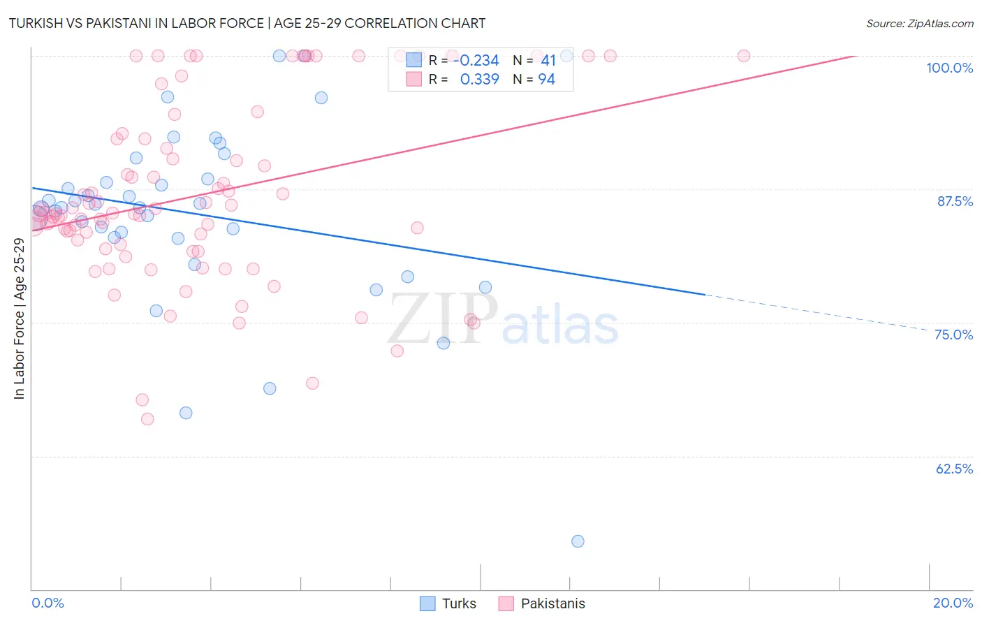 Turkish vs Pakistani In Labor Force | Age 25-29