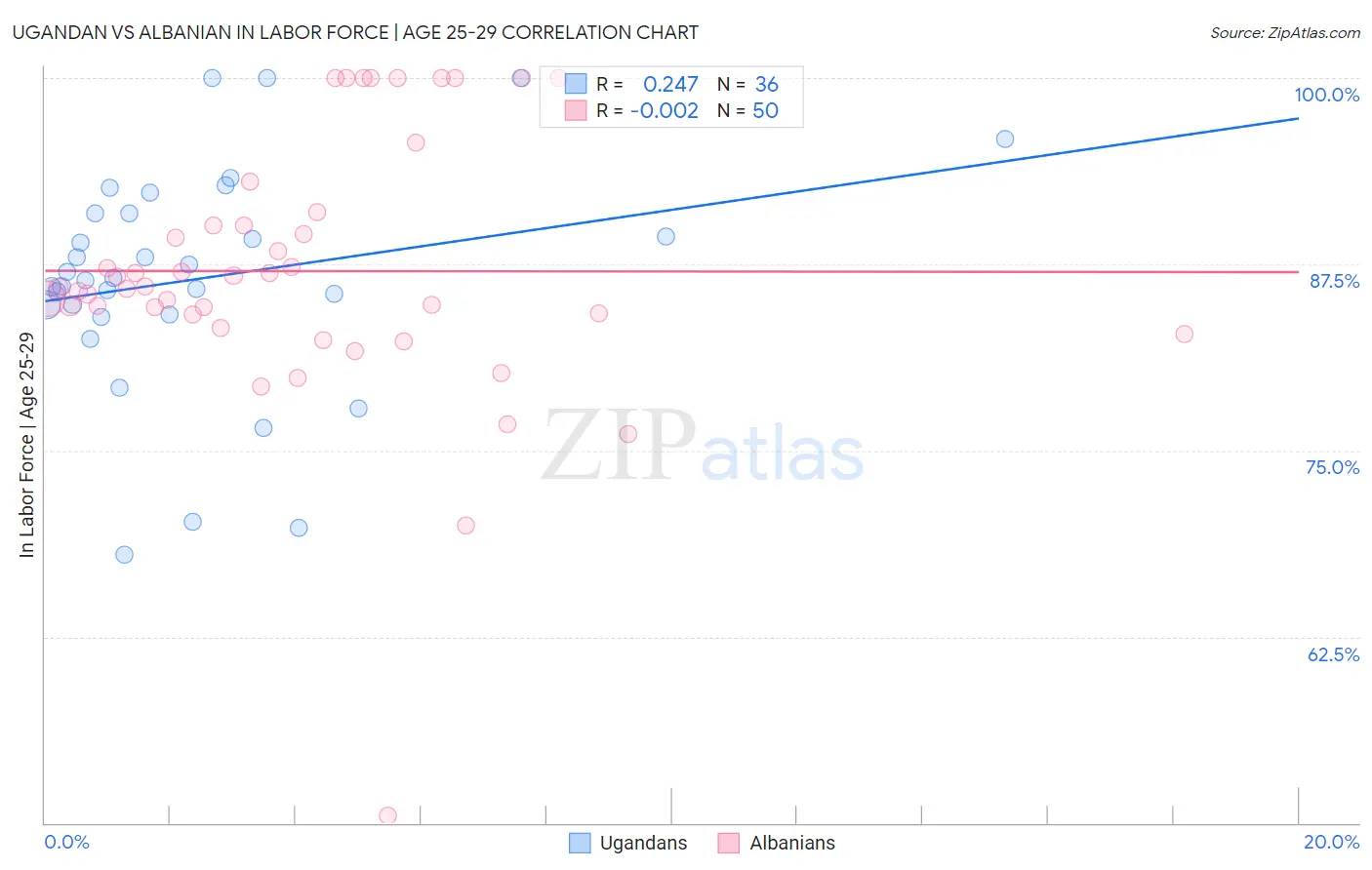 Ugandan vs Albanian In Labor Force | Age 25-29