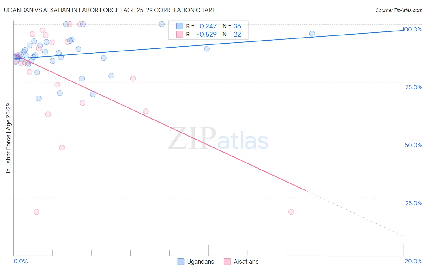 Ugandan vs Alsatian In Labor Force | Age 25-29