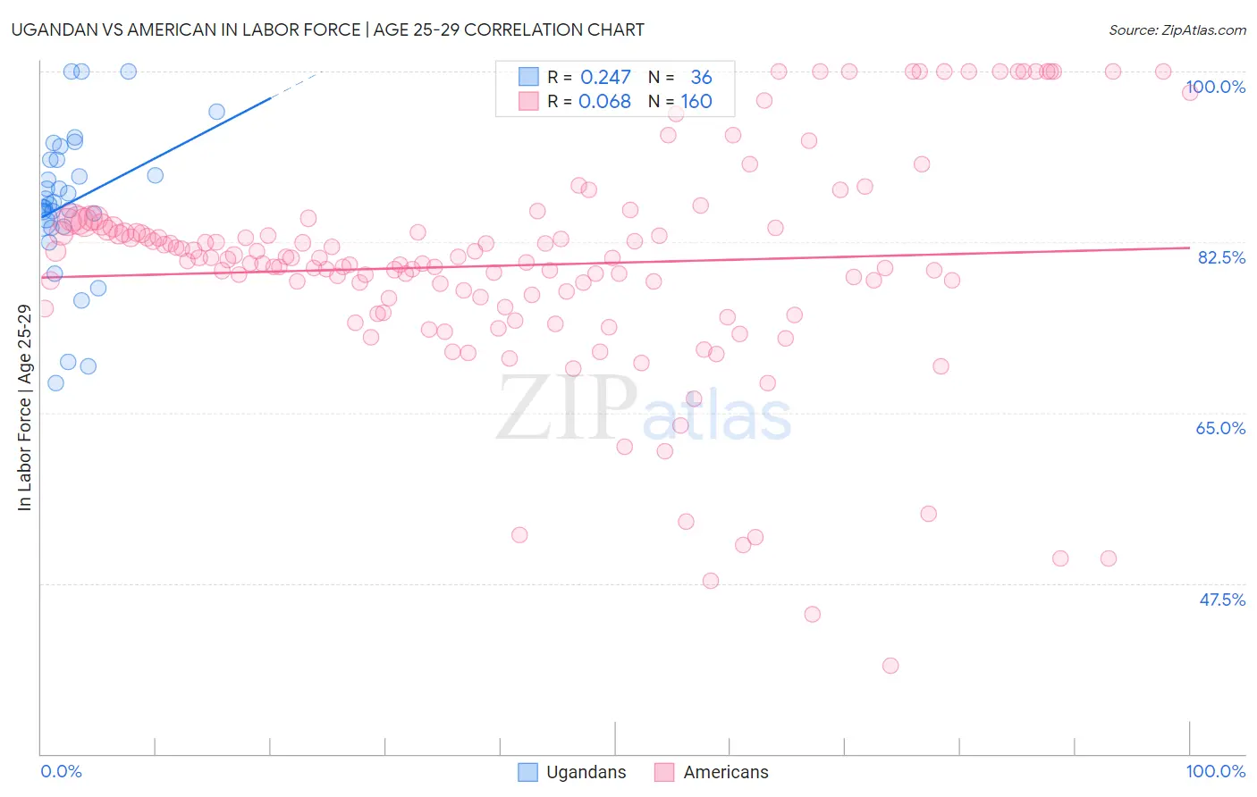 Ugandan vs American In Labor Force | Age 25-29