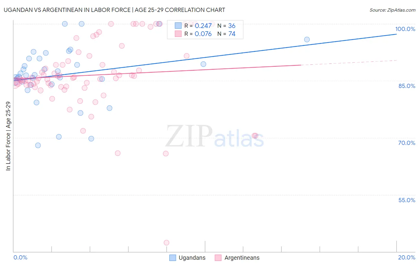 Ugandan vs Argentinean In Labor Force | Age 25-29