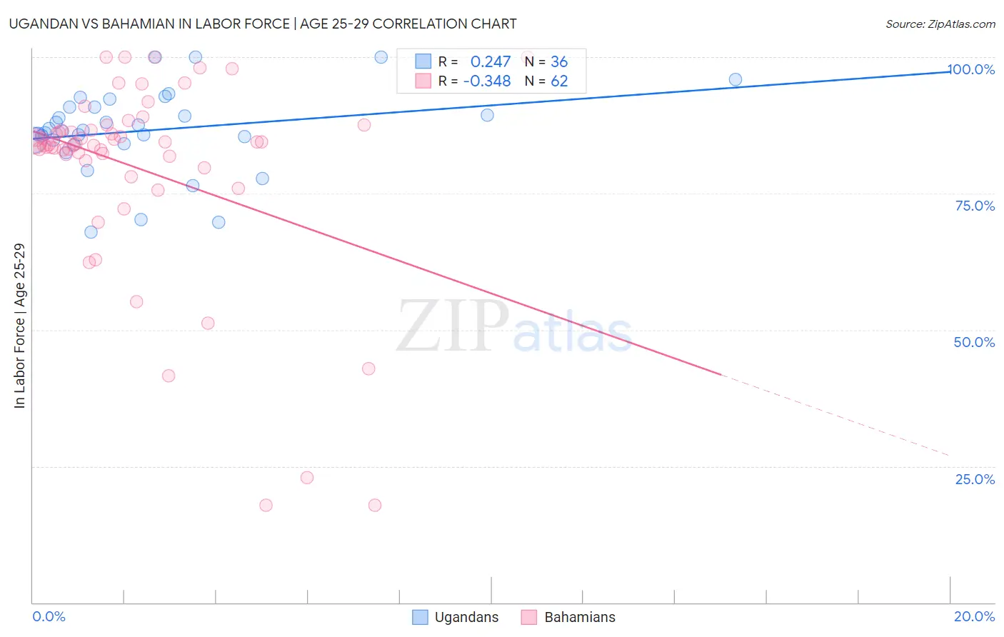 Ugandan vs Bahamian In Labor Force | Age 25-29