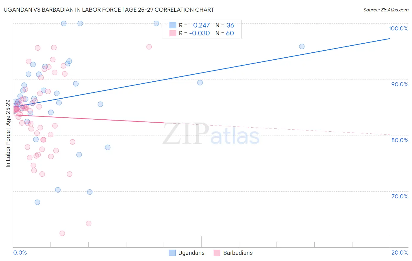 Ugandan vs Barbadian In Labor Force | Age 25-29