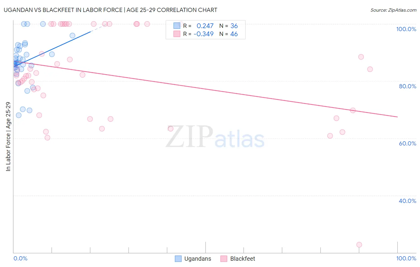 Ugandan vs Blackfeet In Labor Force | Age 25-29
