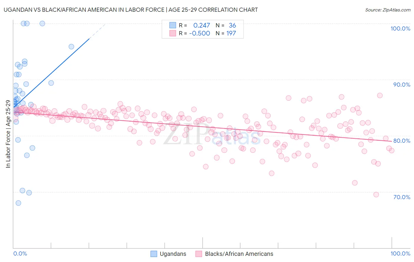 Ugandan vs Black/African American In Labor Force | Age 25-29