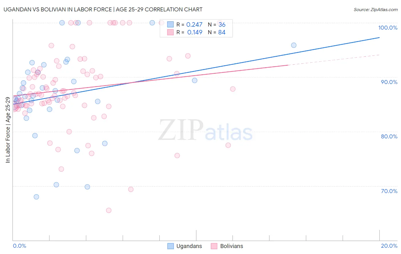 Ugandan vs Bolivian In Labor Force | Age 25-29