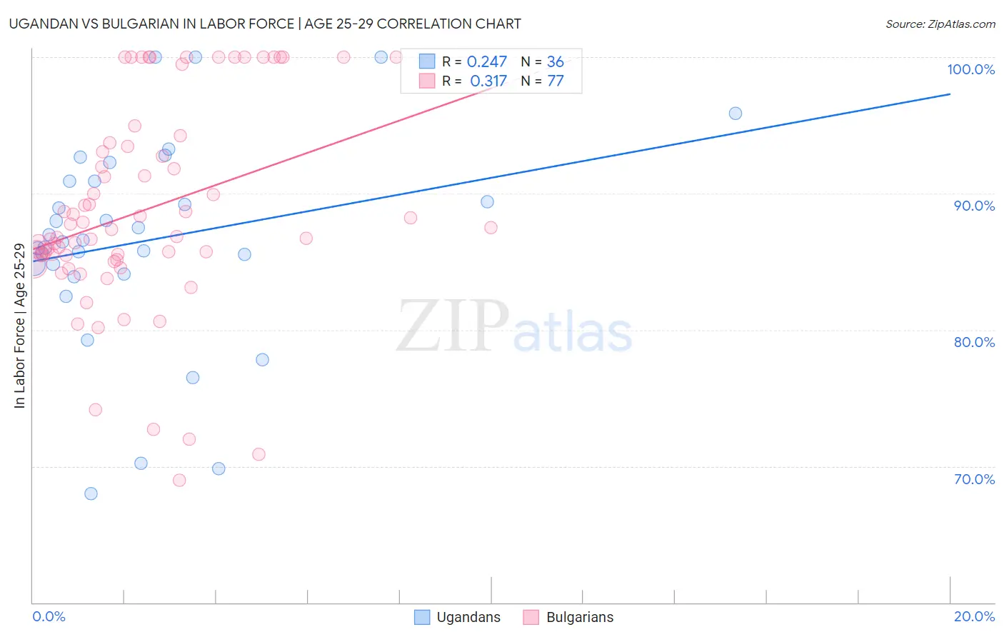 Ugandan vs Bulgarian In Labor Force | Age 25-29
