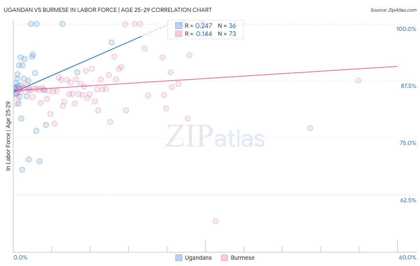 Ugandan vs Burmese In Labor Force | Age 25-29