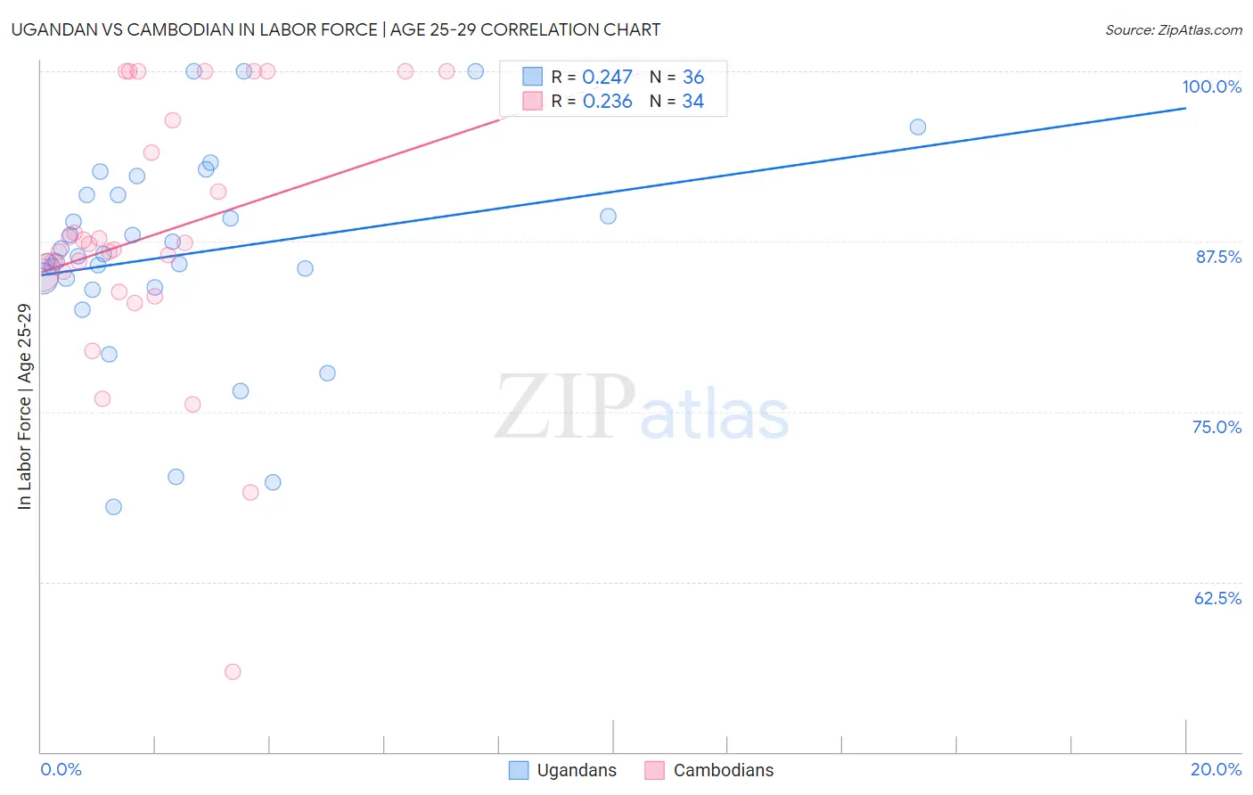 Ugandan vs Cambodian In Labor Force | Age 25-29