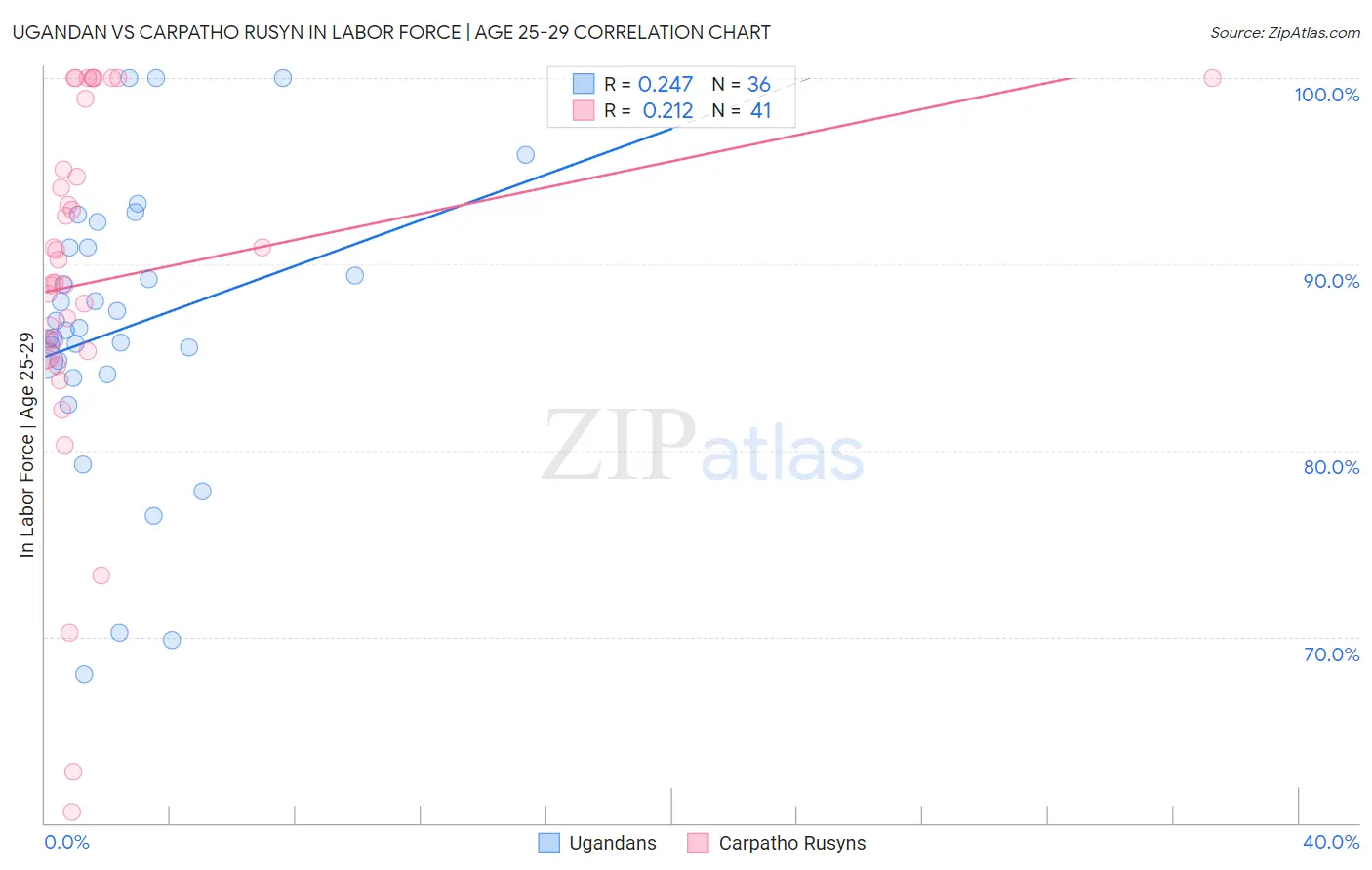 Ugandan vs Carpatho Rusyn In Labor Force | Age 25-29