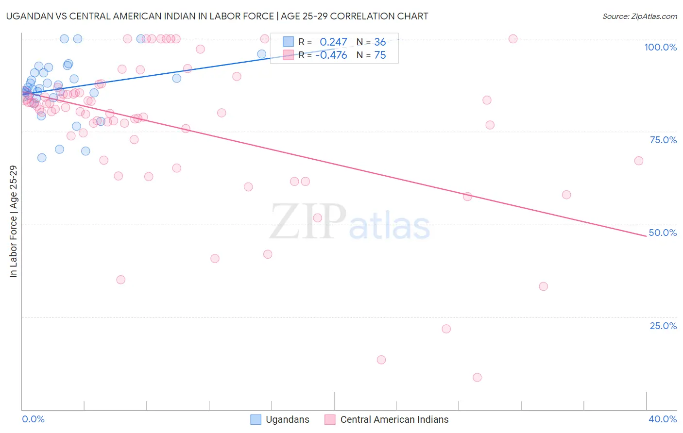 Ugandan vs Central American Indian In Labor Force | Age 25-29