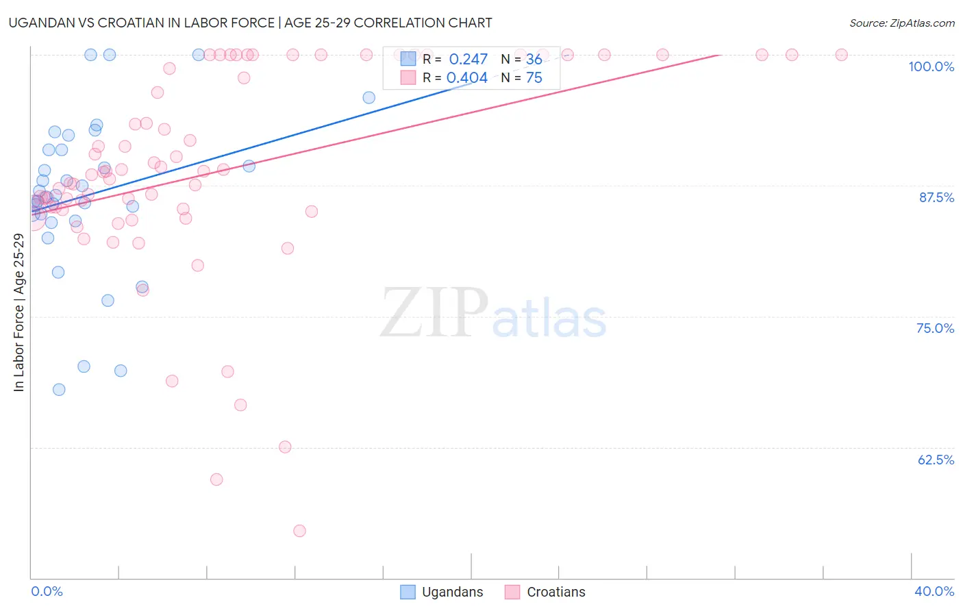 Ugandan vs Croatian In Labor Force | Age 25-29