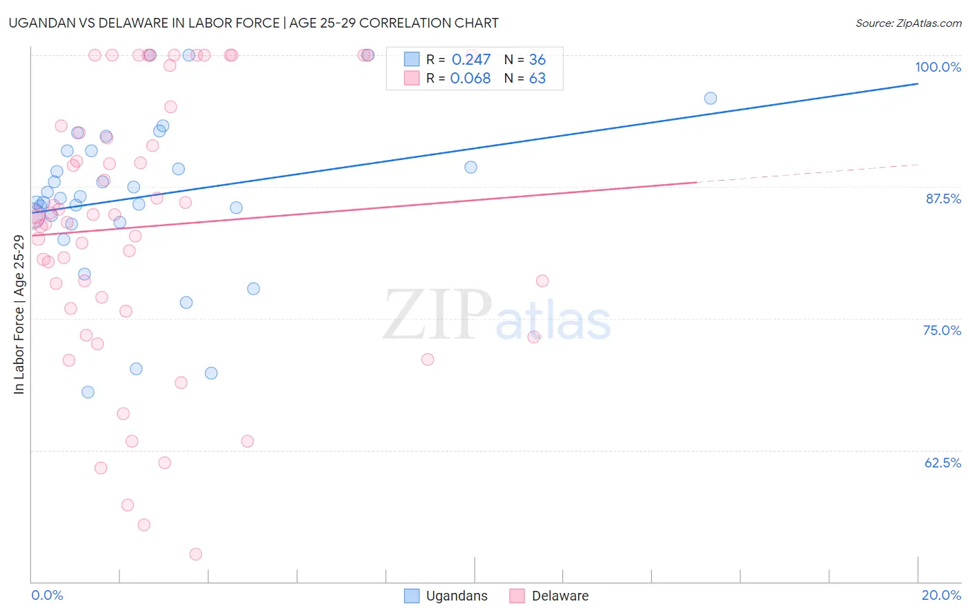 Ugandan vs Delaware In Labor Force | Age 25-29