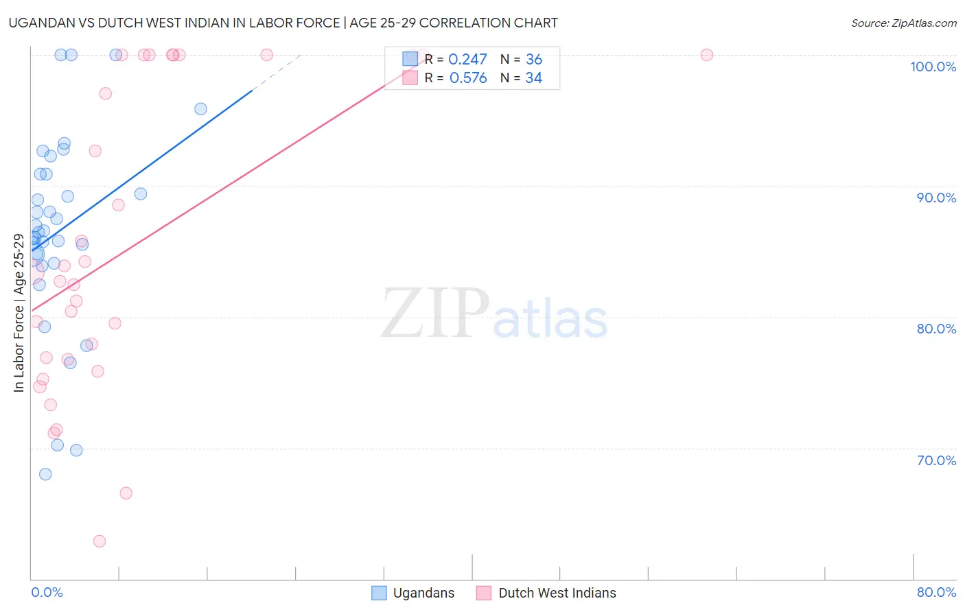 Ugandan vs Dutch West Indian In Labor Force | Age 25-29
