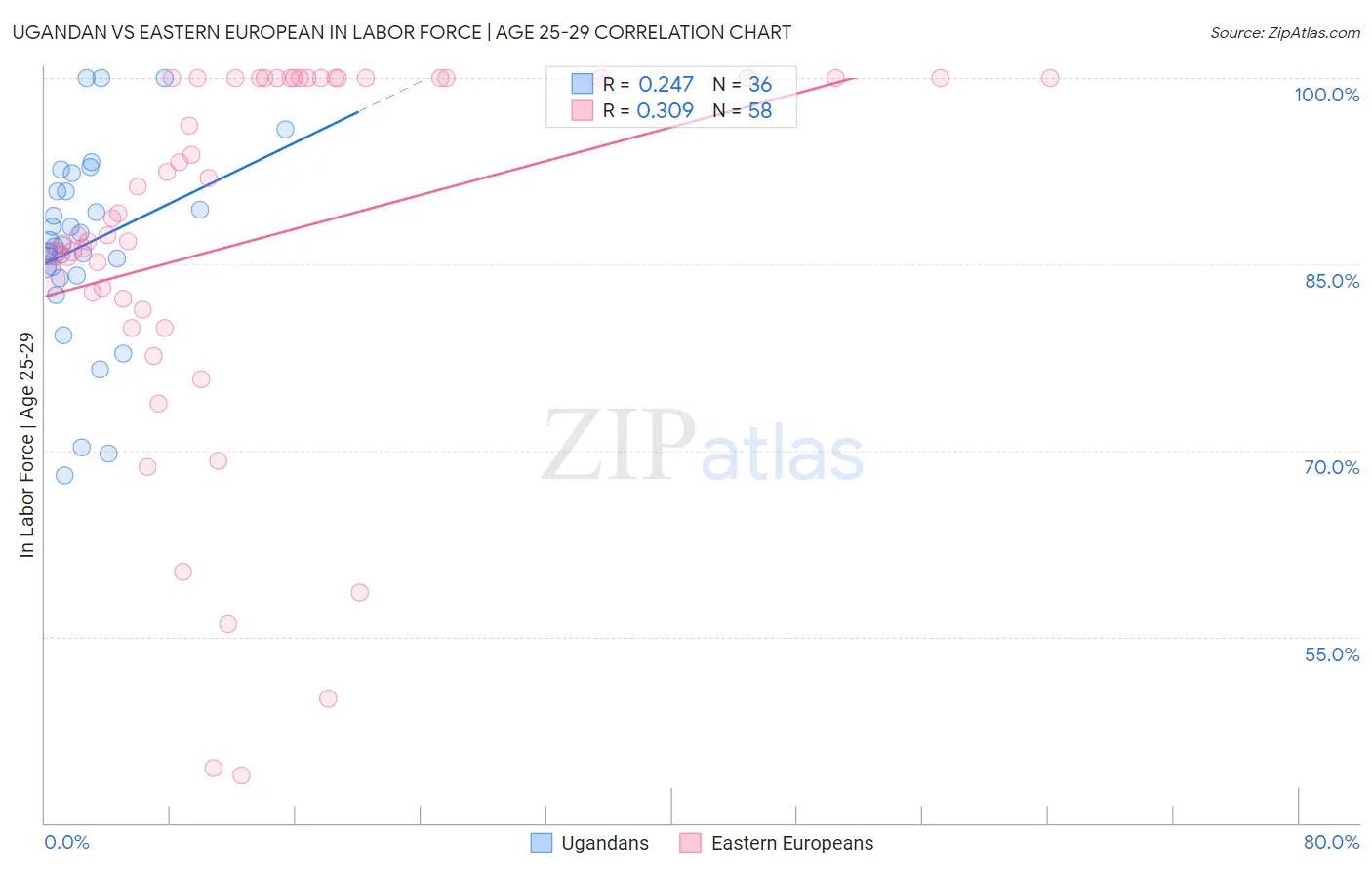 Ugandan vs Eastern European In Labor Force | Age 25-29