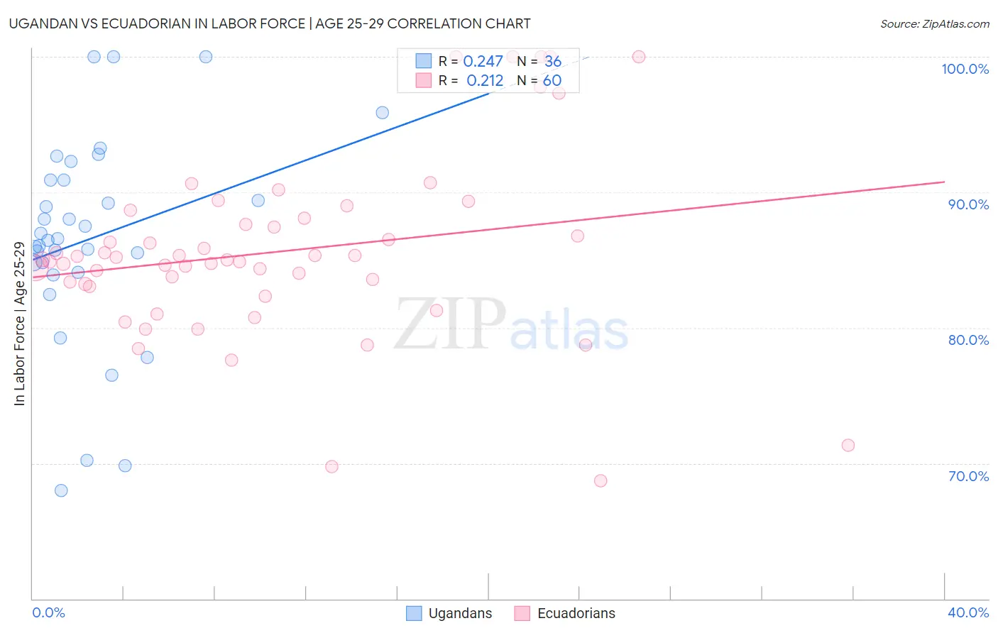 Ugandan vs Ecuadorian In Labor Force | Age 25-29