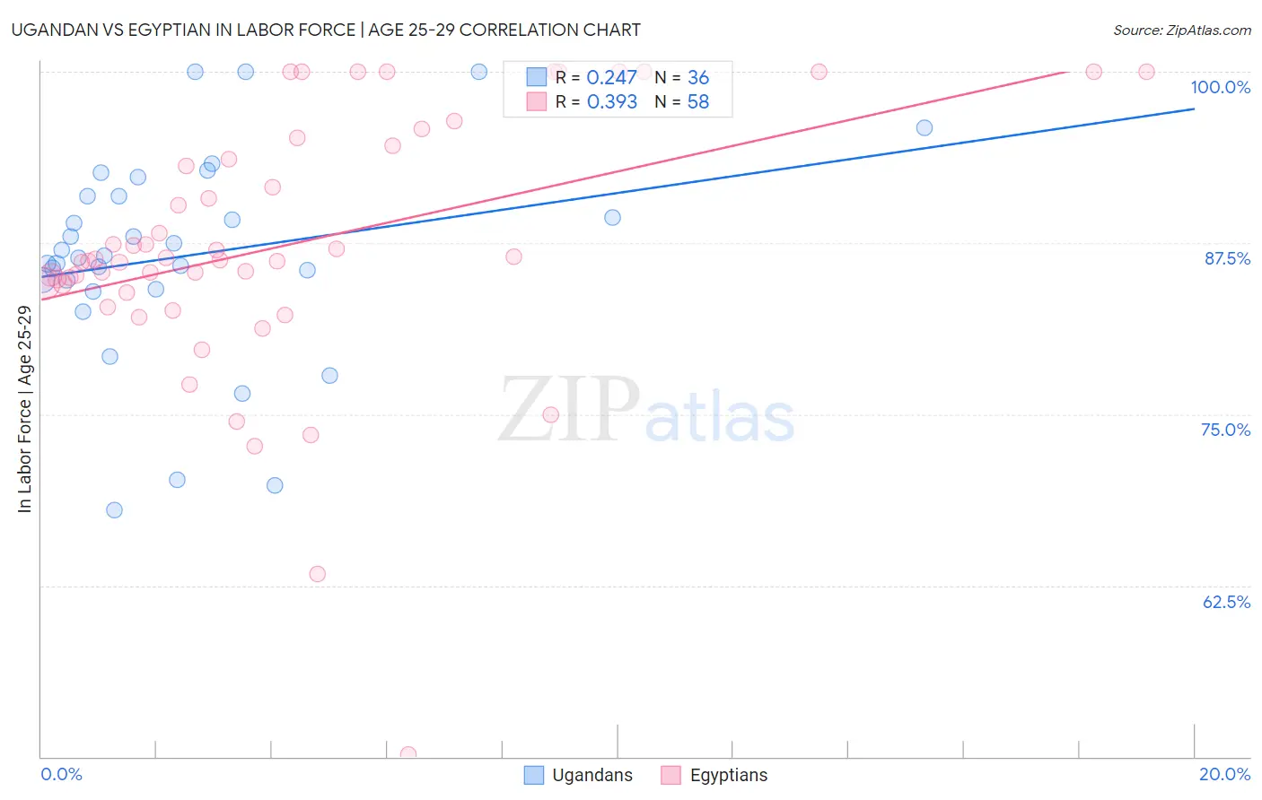 Ugandan vs Egyptian In Labor Force | Age 25-29