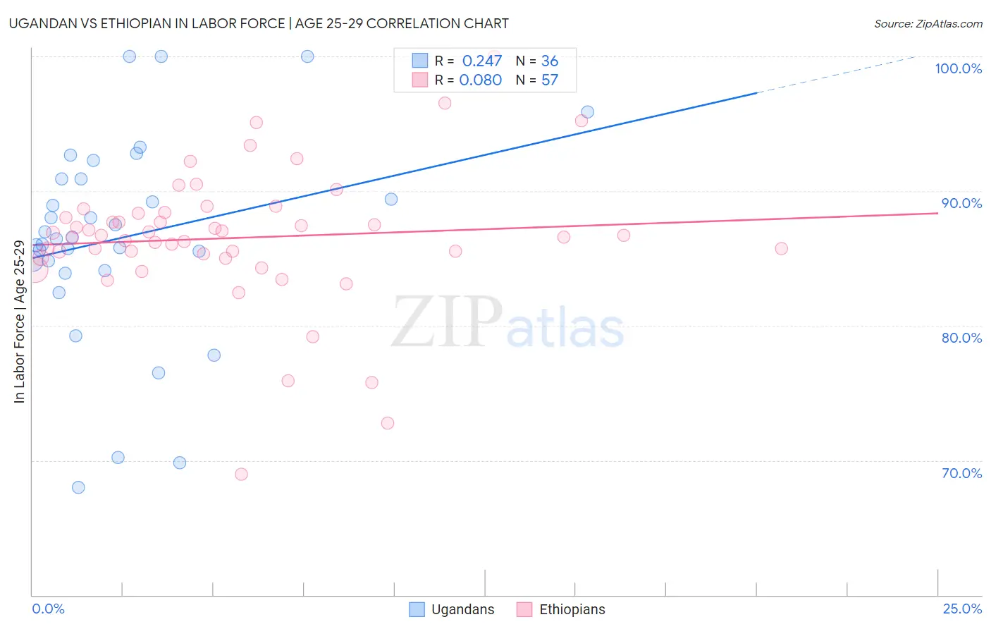 Ugandan vs Ethiopian In Labor Force | Age 25-29
