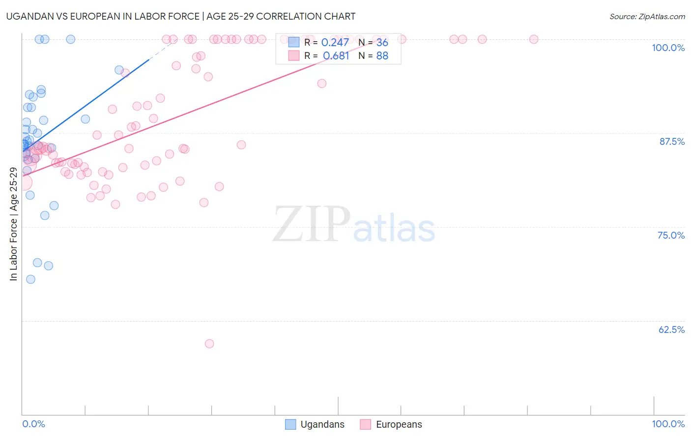 Ugandan vs European In Labor Force | Age 25-29