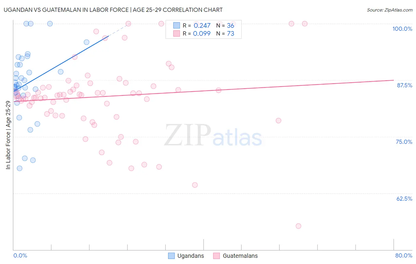 Ugandan vs Guatemalan In Labor Force | Age 25-29