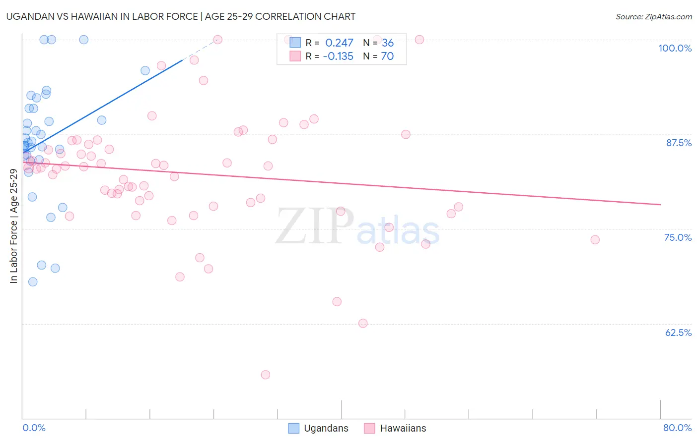 Ugandan vs Hawaiian In Labor Force | Age 25-29