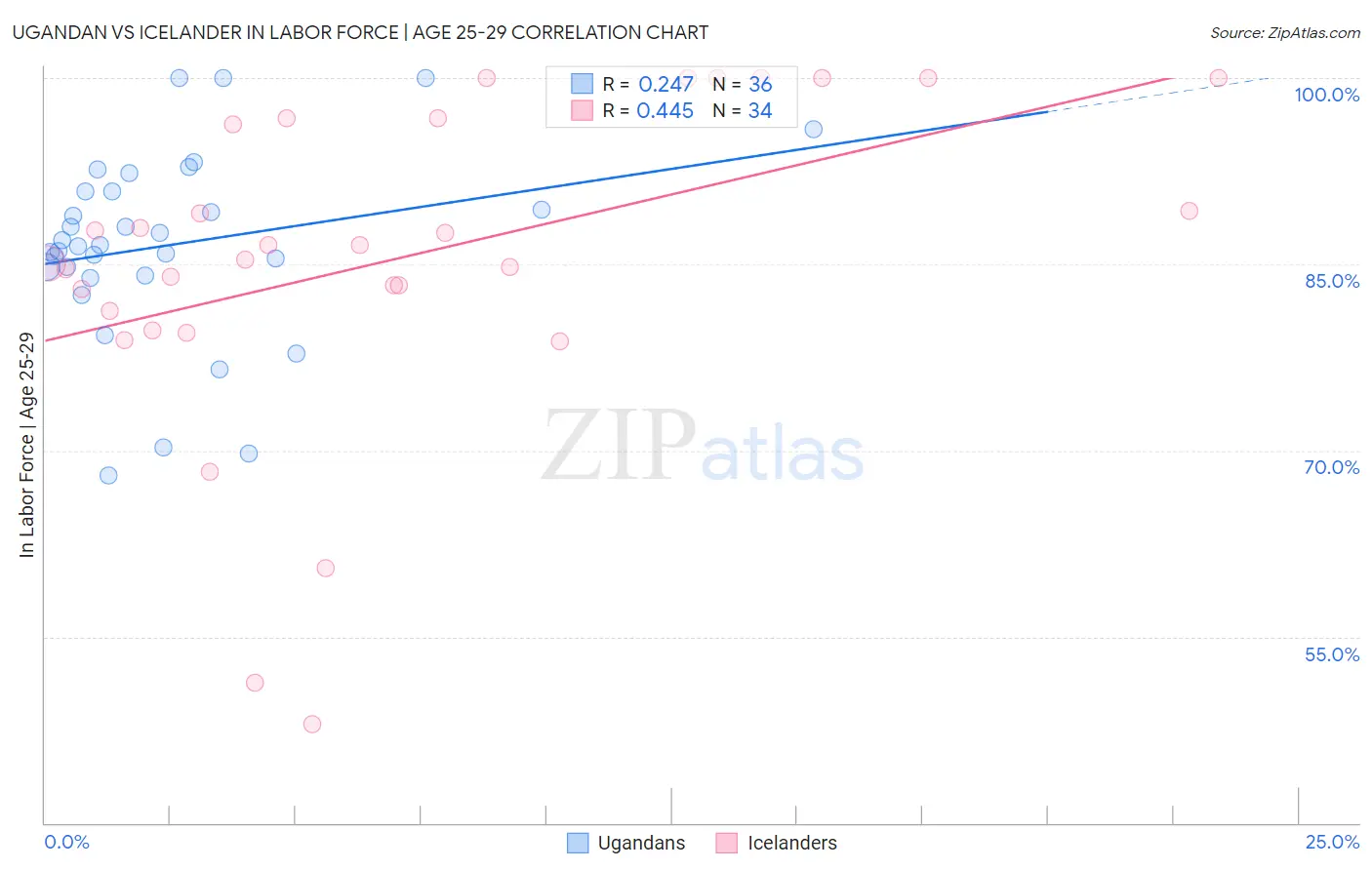 Ugandan vs Icelander In Labor Force | Age 25-29