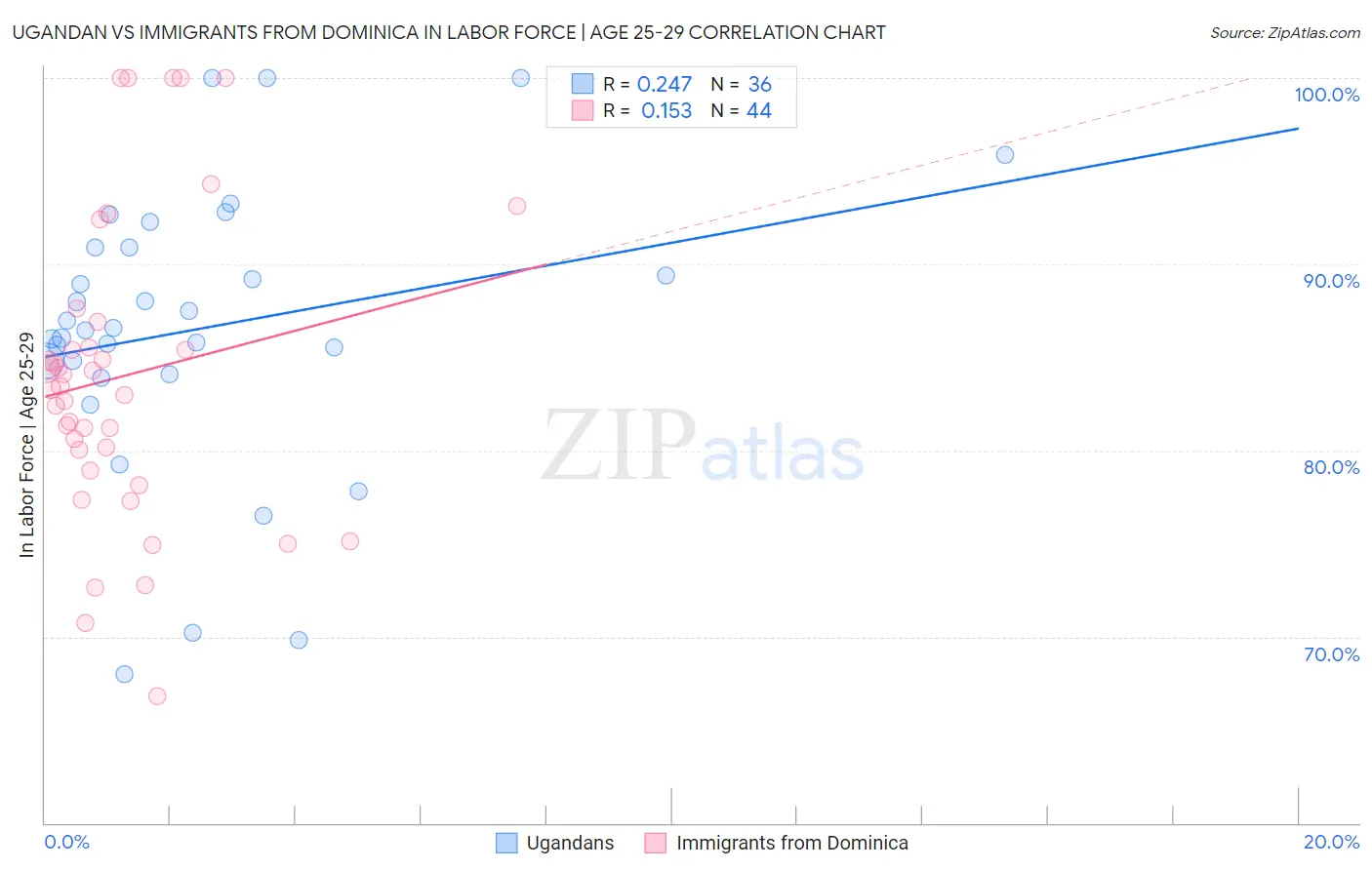 Ugandan vs Immigrants from Dominica In Labor Force | Age 25-29