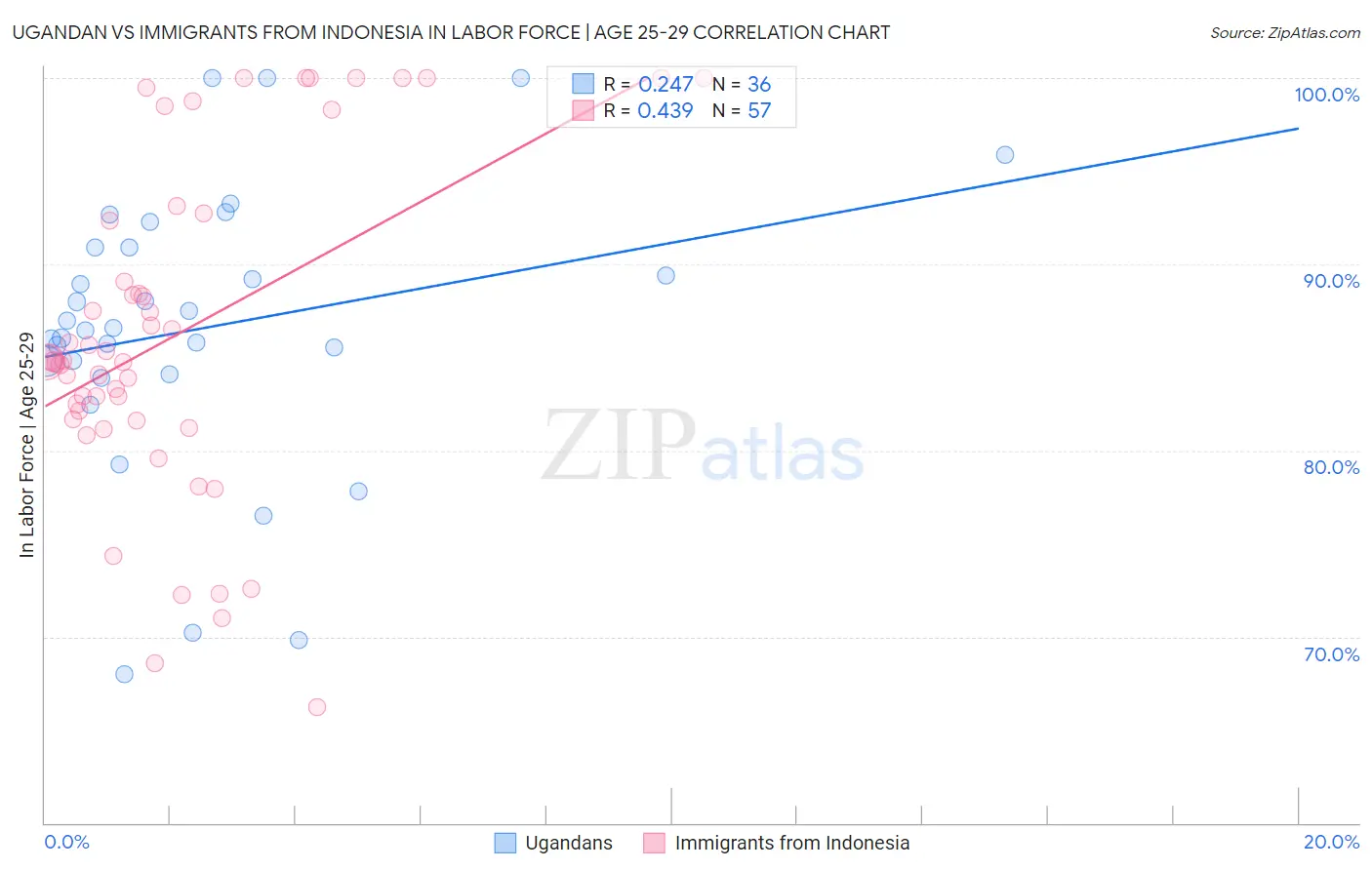 Ugandan vs Immigrants from Indonesia In Labor Force | Age 25-29