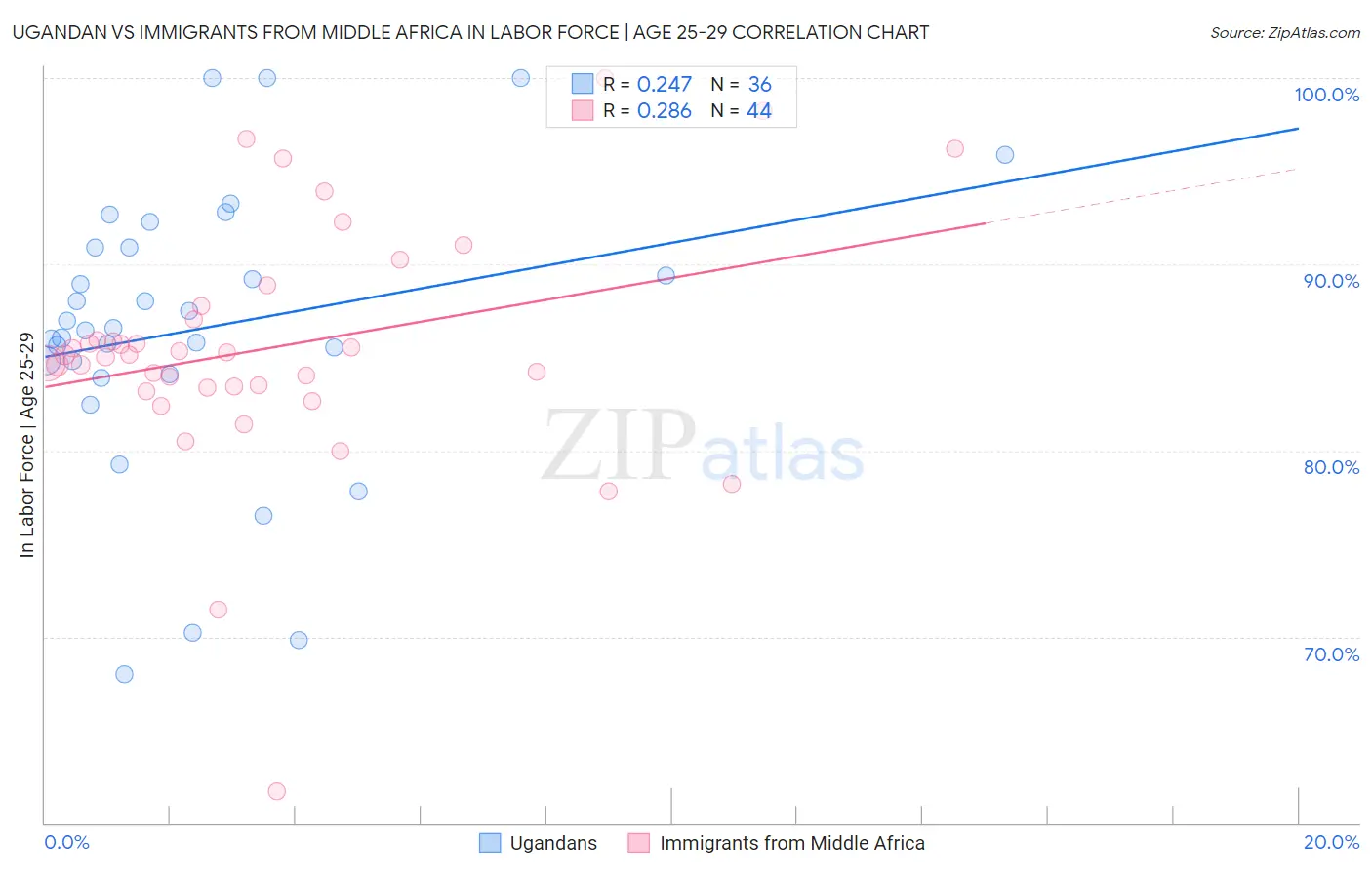 Ugandan vs Immigrants from Middle Africa In Labor Force | Age 25-29