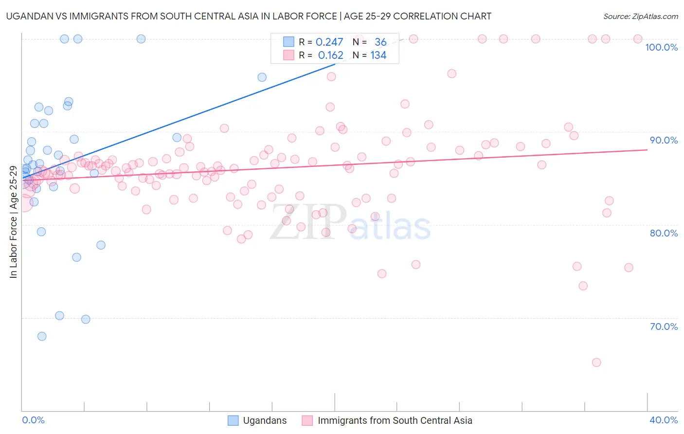Ugandan vs Immigrants from South Central Asia In Labor Force | Age 25-29