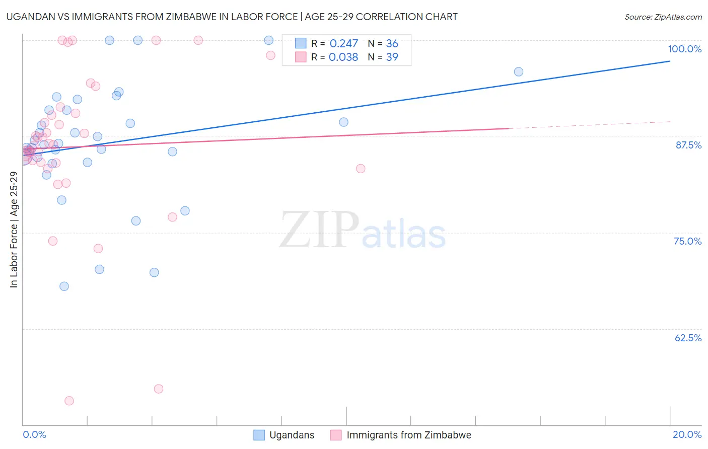 Ugandan vs Immigrants from Zimbabwe In Labor Force | Age 25-29