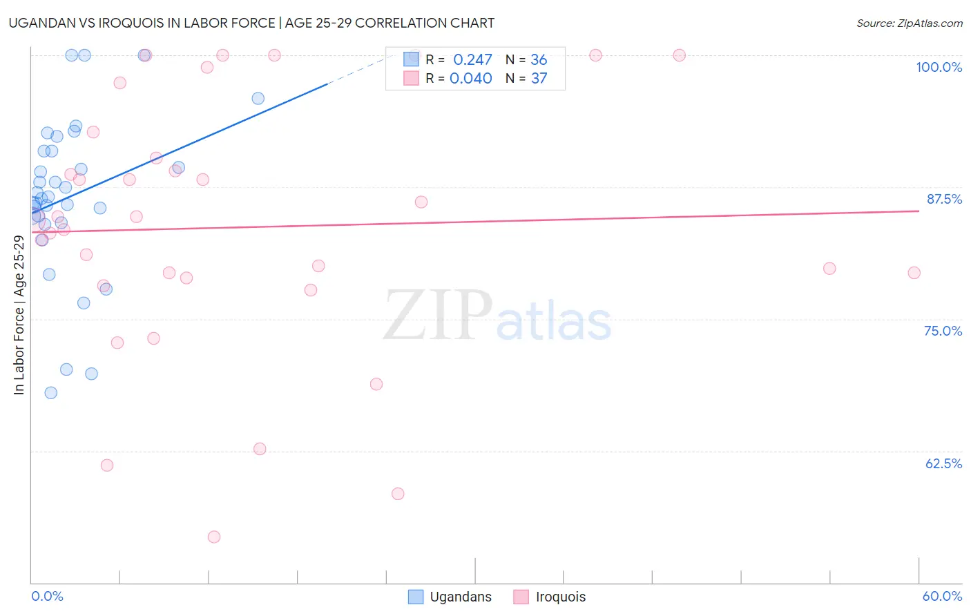 Ugandan vs Iroquois In Labor Force | Age 25-29