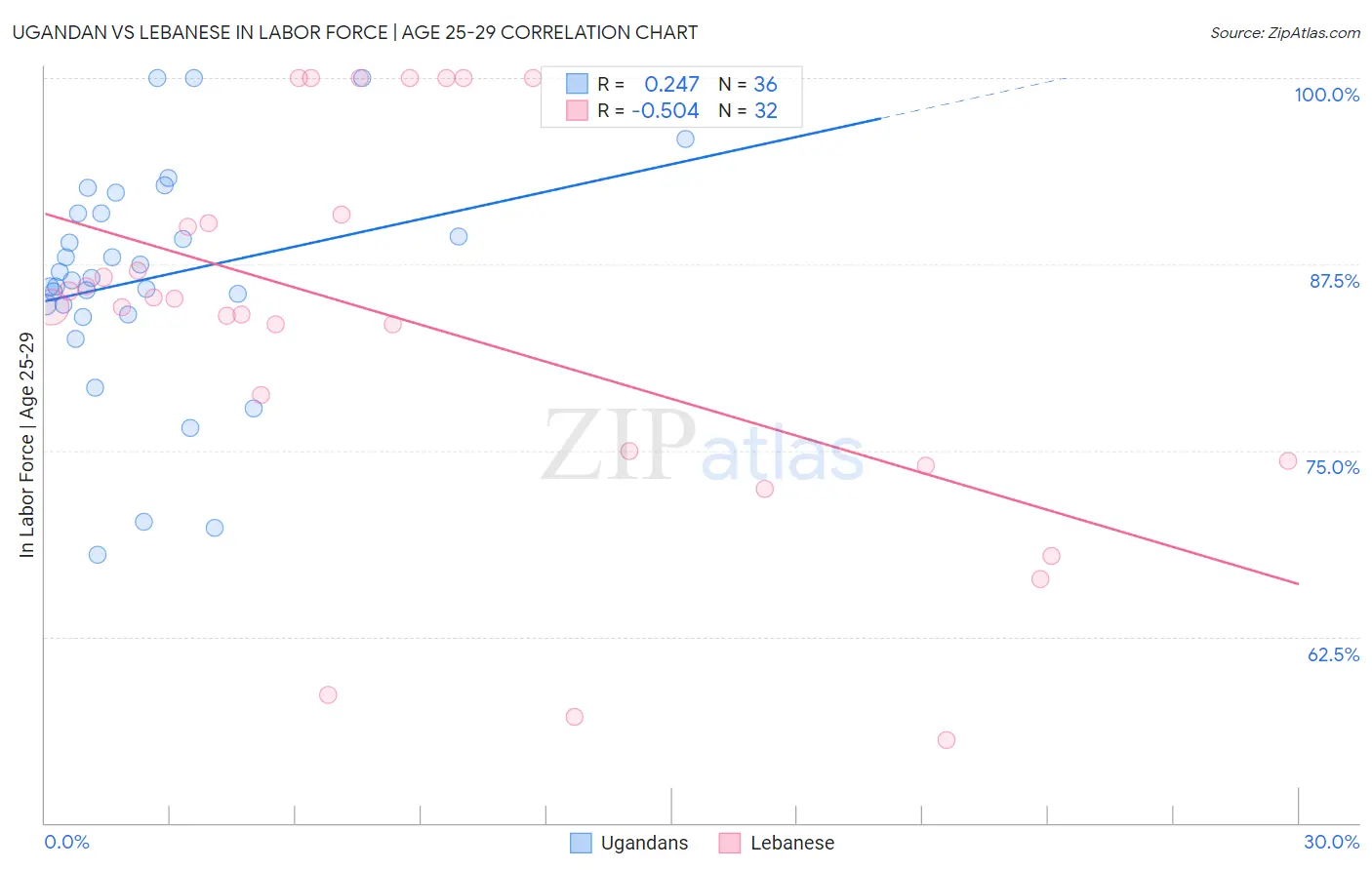 Ugandan vs Lebanese In Labor Force | Age 25-29